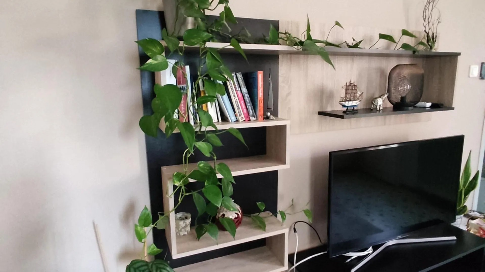 Napier Apartment Argostoli