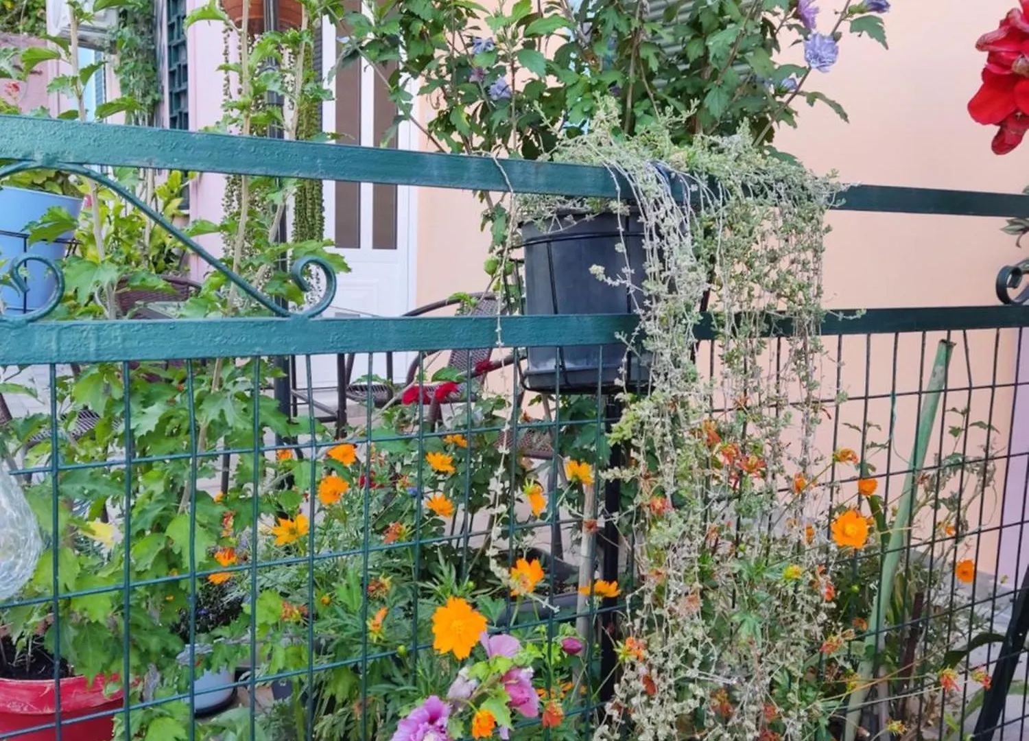 Napier Apartment Argostoli  0*, Argostoli (Kefalonia) Grecia